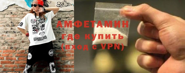 хмурый Аркадак