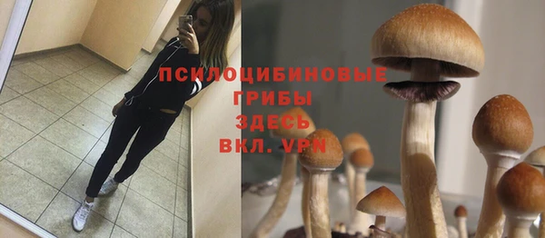 СК Арсеньев