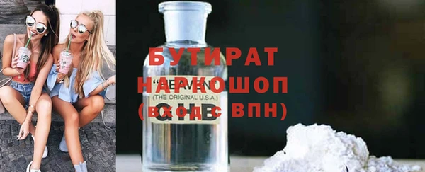 хмурый Аркадак