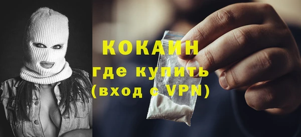 хмурый Аркадак