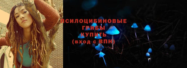 СК Арсеньев