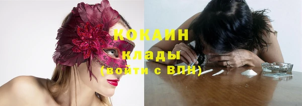мдма Ельня