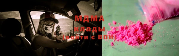 хмурый Аркадак