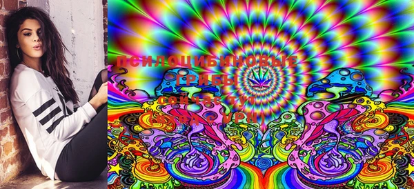 ECSTASY Алзамай