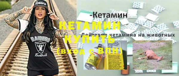 хмурый Аркадак