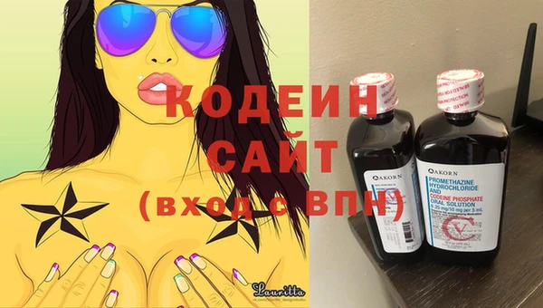 хмурый Аркадак