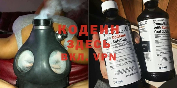хмурый Аркадак