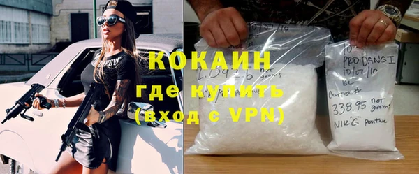 хмурый Аркадак