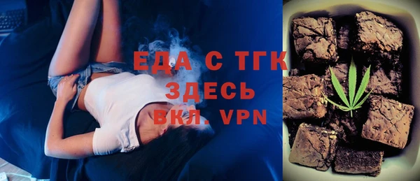 хмурый Аркадак