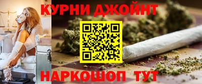 сатива Бийск
