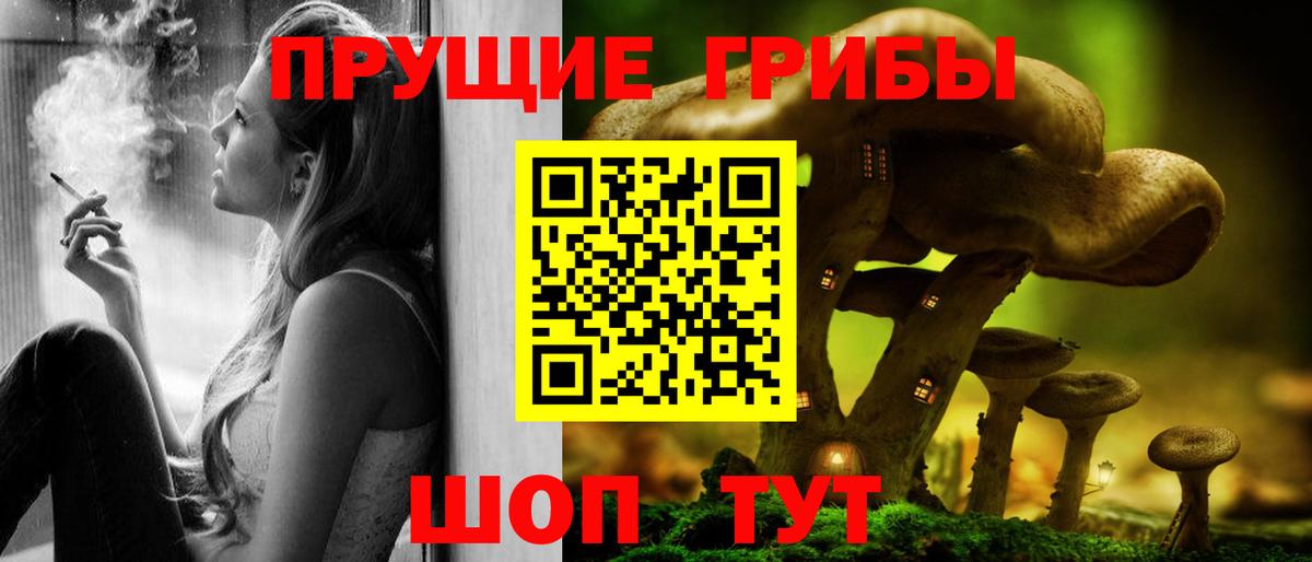 Галлюциногенные грибы прущие грибы Белово