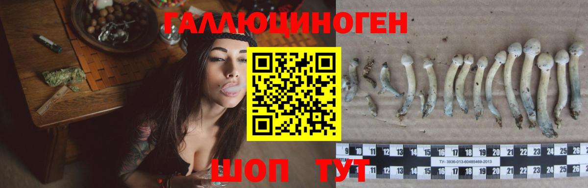 Псилоцибиновые грибы Magic Shrooms  Вход с VPN  Белово  Галлюциногенные грибы Psilocybe 